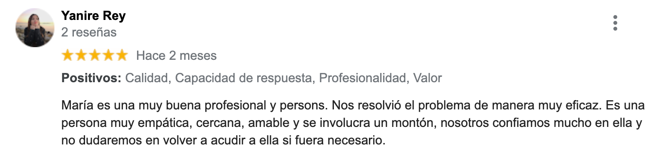 Reseña Google