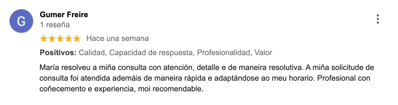 Reseña Google