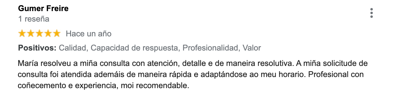 Reseña Google